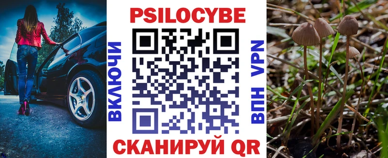 где продают   Куровское  Галлюциногенные грибы Magic Shrooms 