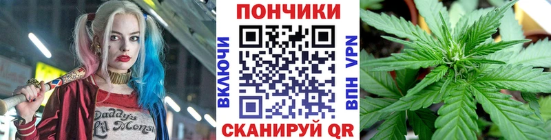 Каннабис сатива  закладки  Куровское 
